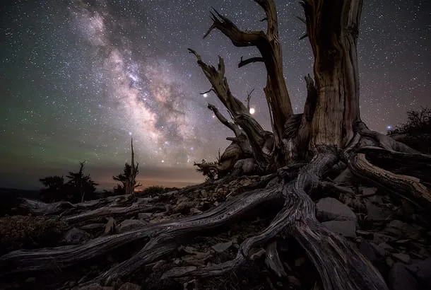 NASA’s Astronomy Picture of the Day (APOD)