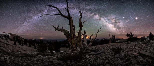 Safety Tips for Night Photography