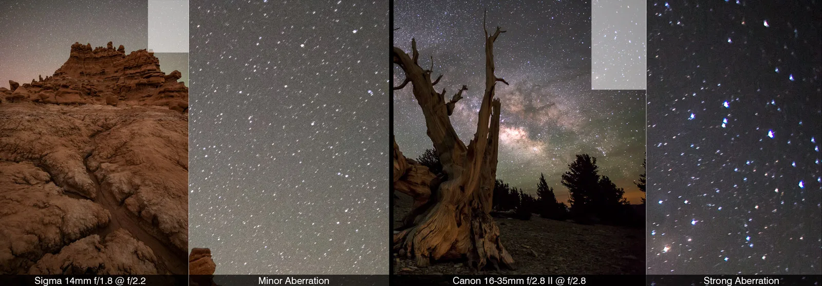 Canon Lens Comparison for Night Photography