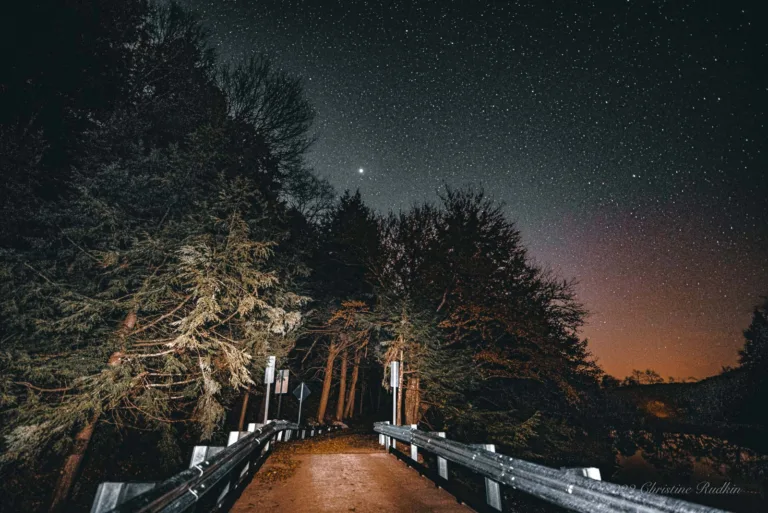 Christine Rudkin night image