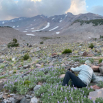 Chris and Brad checking composition during the Mount Shasta Workshop.