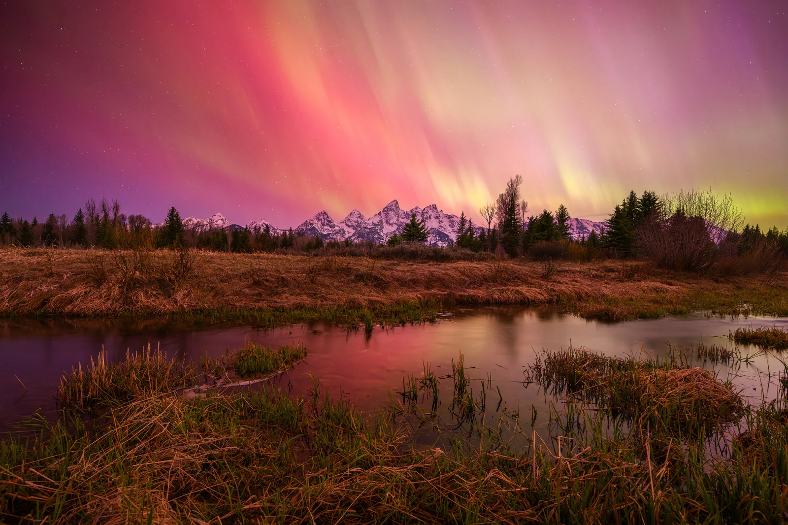The Aurora Borealis makes an explosive appearance over Grand Teton National Park from a small creek.