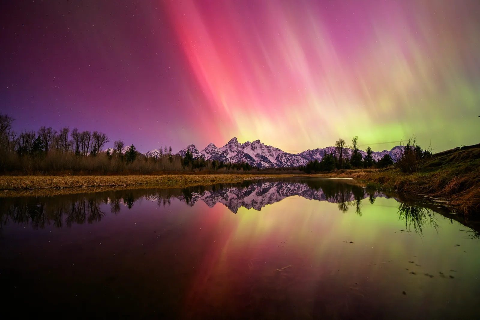 The Aurora Borealis explodes in the night sky and reflects off of a small pond in Grand Teton National Park.