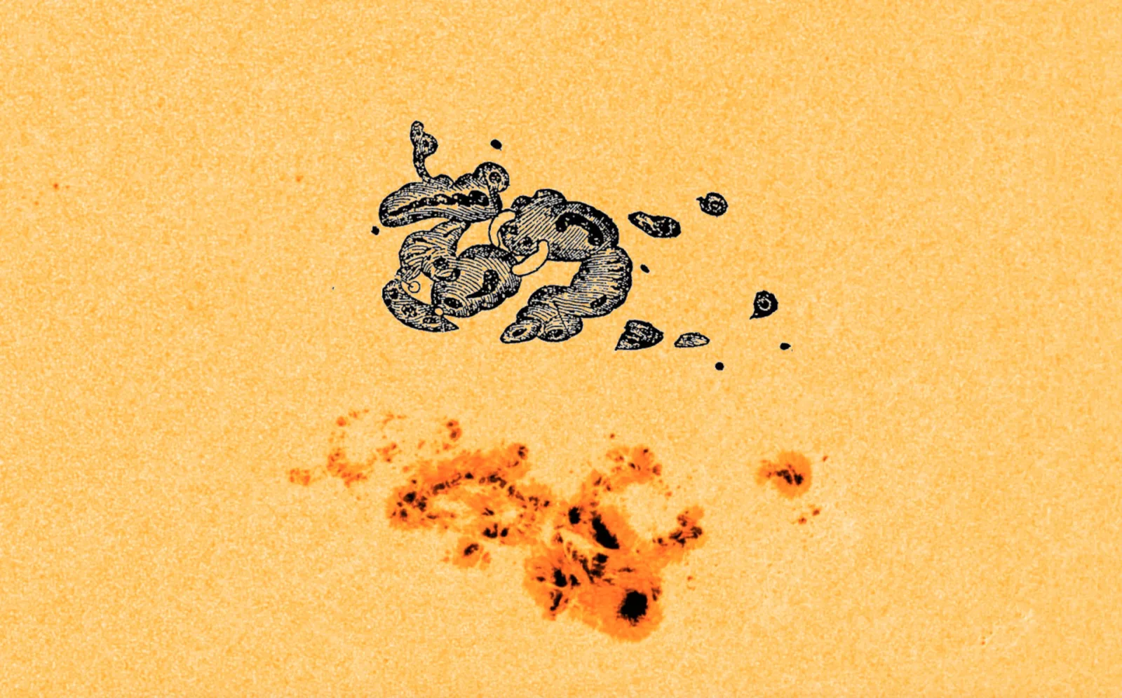 Sunspot AR3644 compared to the Carington Event with Carrington's famous sketch (to scale)