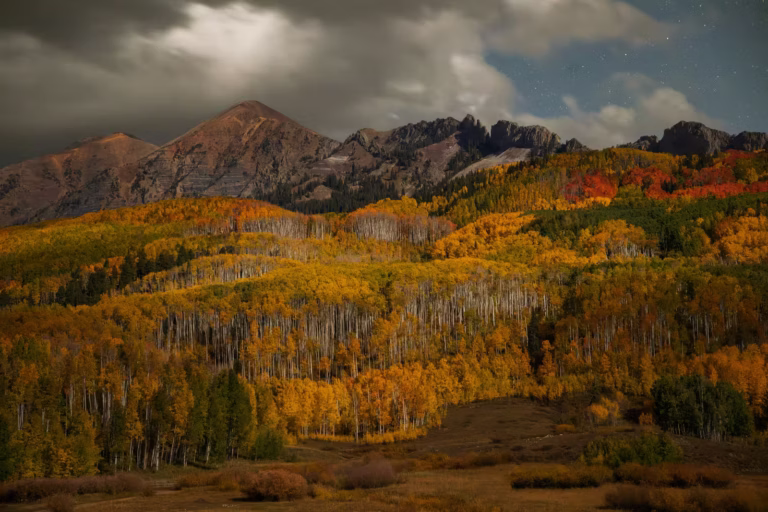Brad and Evie scheduled the second Crested Butte workshop at the perfect peak of autumn colors in 2025.