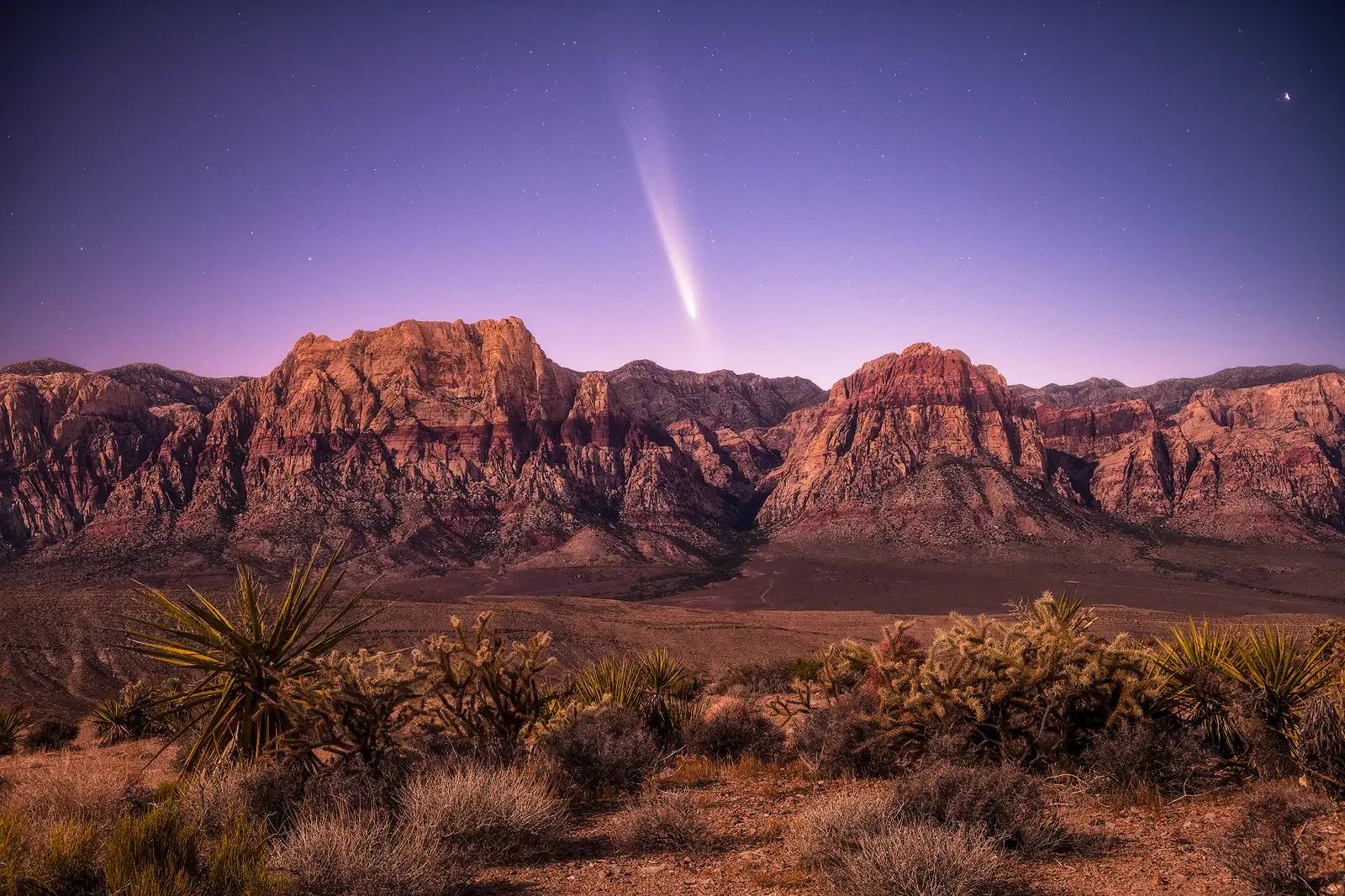 Comet ATLAS streaks above the red sandstone cliffs of Red Rock Canyon near Las Vegas at twilight with desert cacti in the foreground