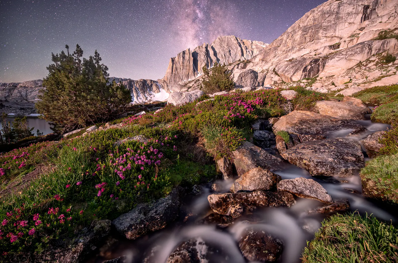 The Milky Way core rises above granite peaks in the Sierra Nevada with moonlight revealing pink wildflowers and a long exposure of a cascading creek in the foreground