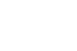 The Best Nikon Equipment