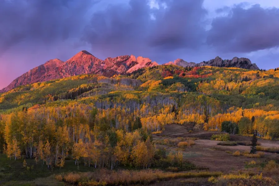 Ruby Range Alpenglow Over Fall Colored Aspens in Gunnison National Forest