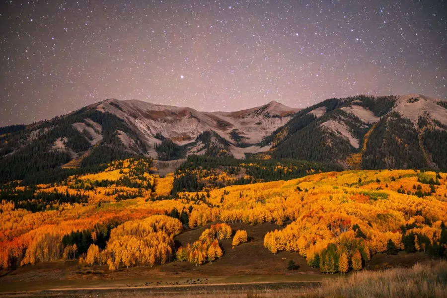 A field of stars shimmers above Whetstone Mountain and moonlit fall aspens near Crested Butte, Colorado.