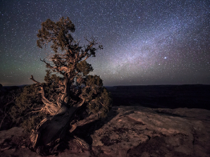 Dead Horse State Park