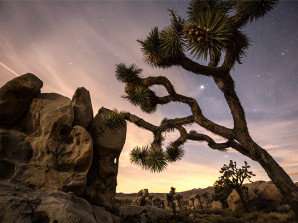 Joshua Tree National Park Night Sky Photography Workshop