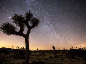 Joshua Tree National Park Night Sky Photography Workshop