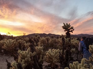 Joshua Tree National Park Night Sky Photography Workshop