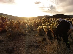 Joshua Tree National Park Night Sky Photography Workshop