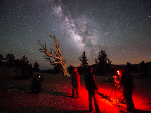 Bristlecone Pine Forest Night Sky Photography Workshop
